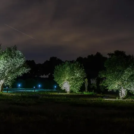 Nomaddicts 假日公园 *