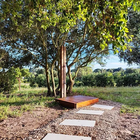 Nomaddicts 假日公园