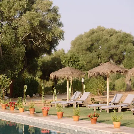 假日公园 Nomaddicts *