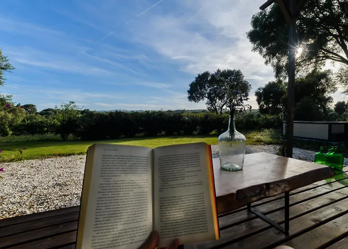 Nomaddicts * La Muela (Algodonales)