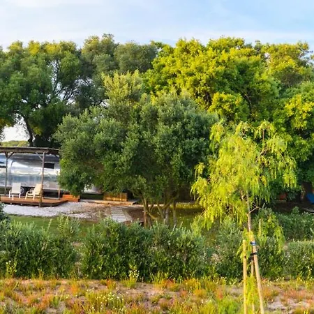 Nomaddicts Holiday park La Muela (Algodonales)