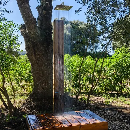 Nomaddicts La Muela (Algodonales)